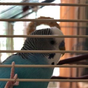 Meet your Posher, Ella